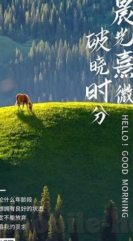 236伦理韩剧-236伦理韩剧，在情感纠葛中探寻人性的光辉