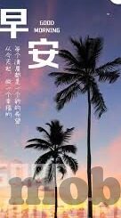 大象传媒官网app下载-探索大象传媒，解锁精彩内容的新窗口